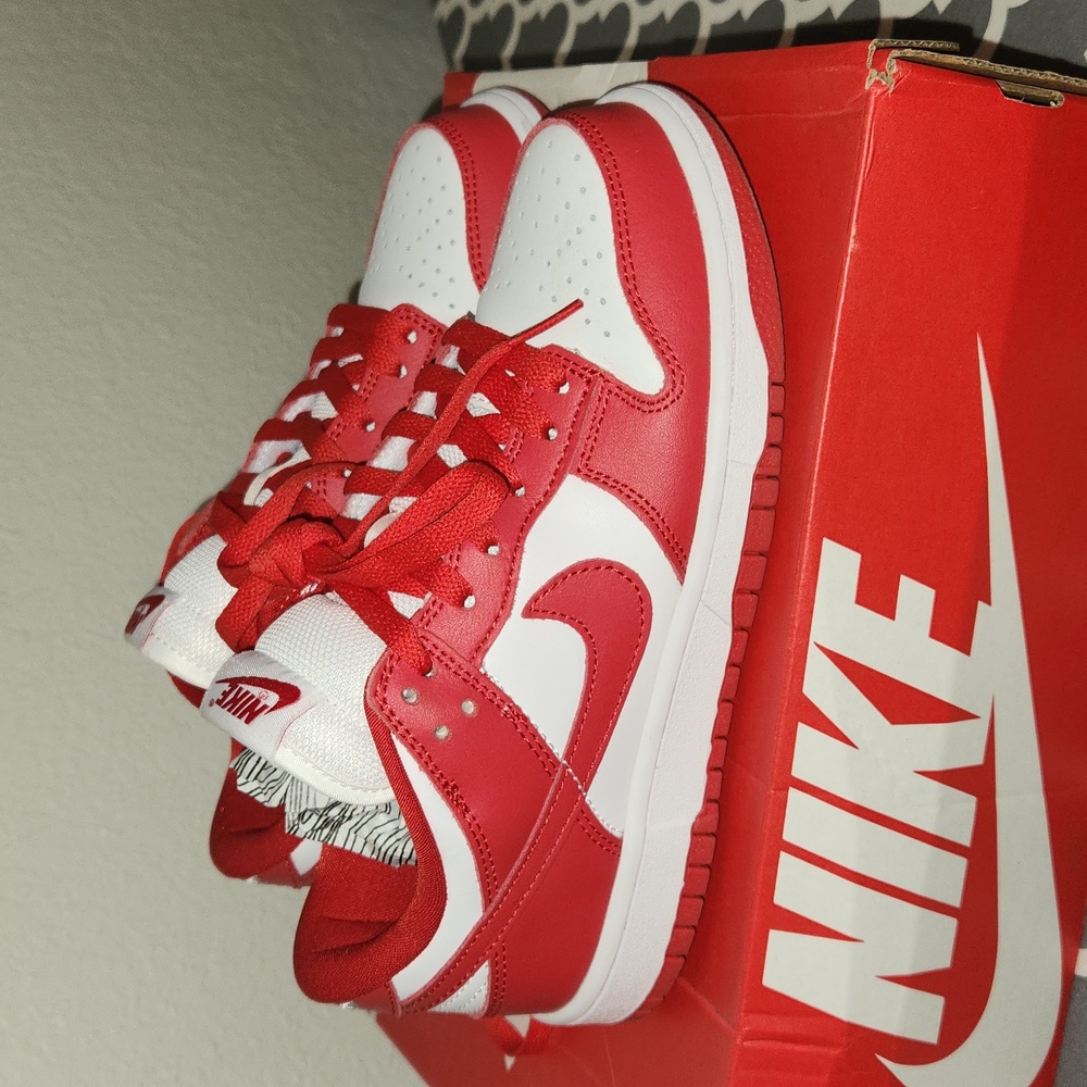 Nike Dunk Low SP